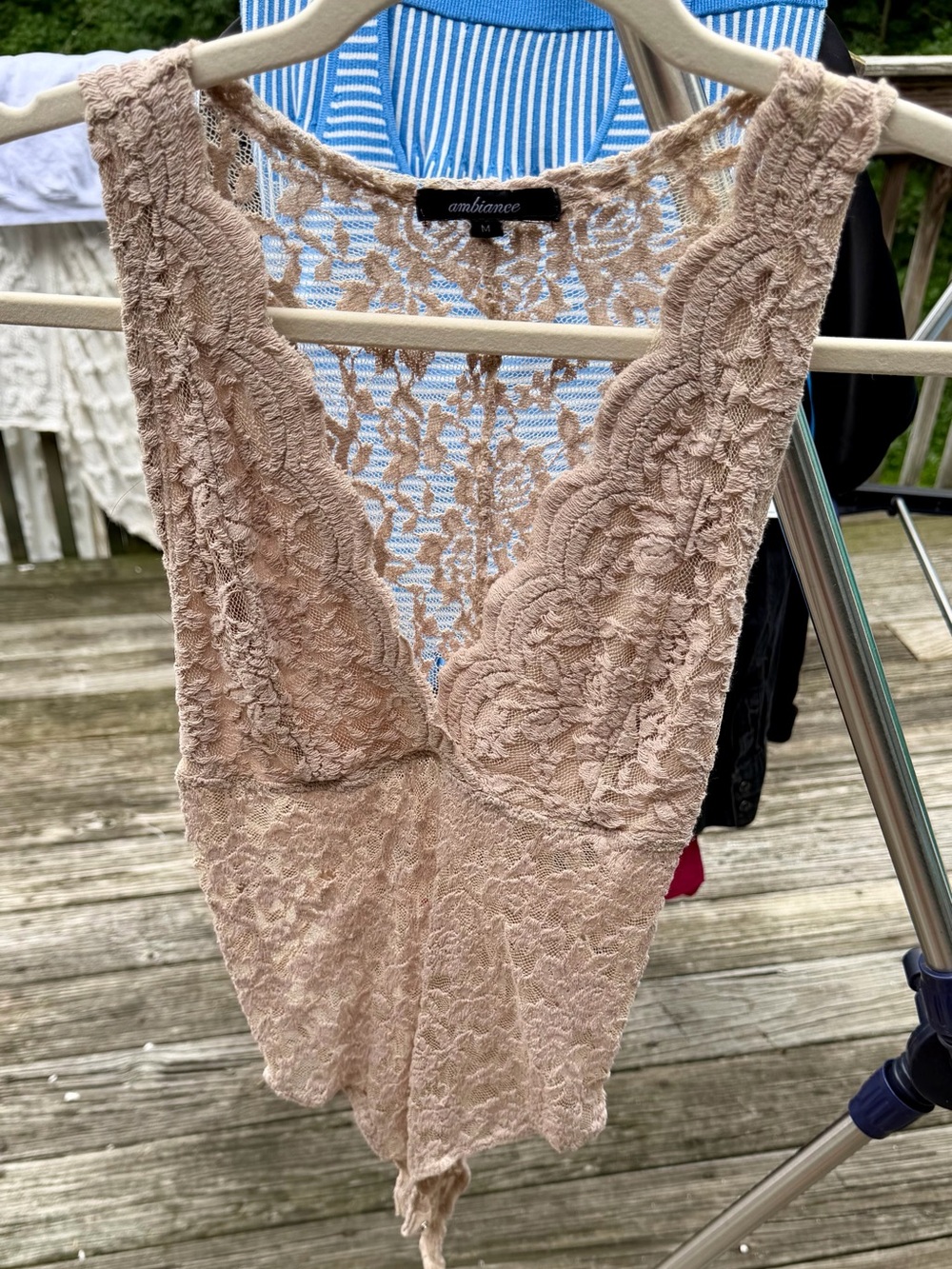 Ambiance Lace Plunge Chemise in Taupe